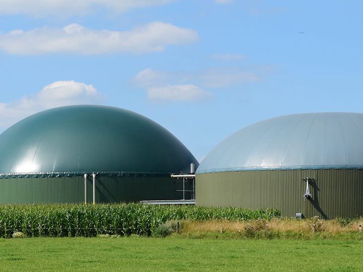 Biogas