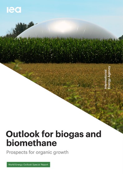Biogas