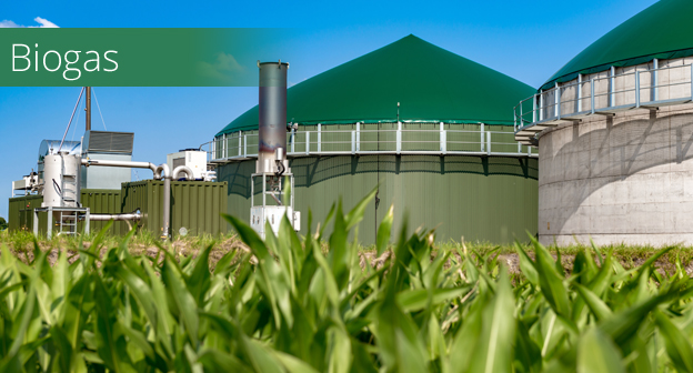 Biogas