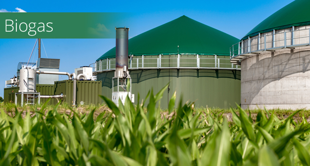 Biogas Thumbnail