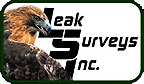 Leak Surveys Inc.