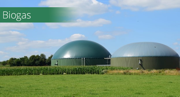 biogas