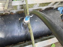 Tube-bag anaerobic digester at the Farm of Lolita Braza. The biogas produced by the digester has provided energy for three families.
