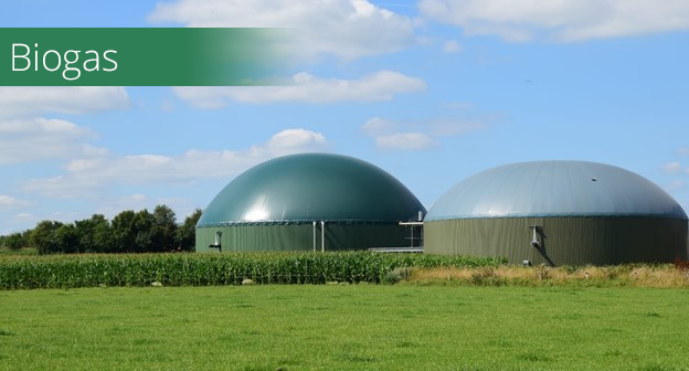 Featured Image for GMI Biogas Subcommittee Meeting Biogas