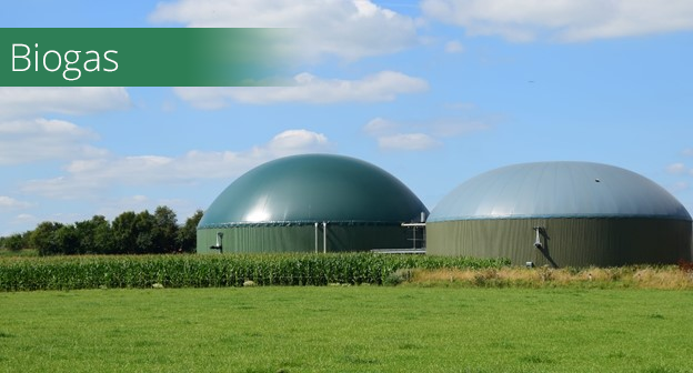 Biogas