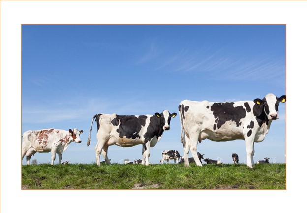 Agriculture Thumbnail